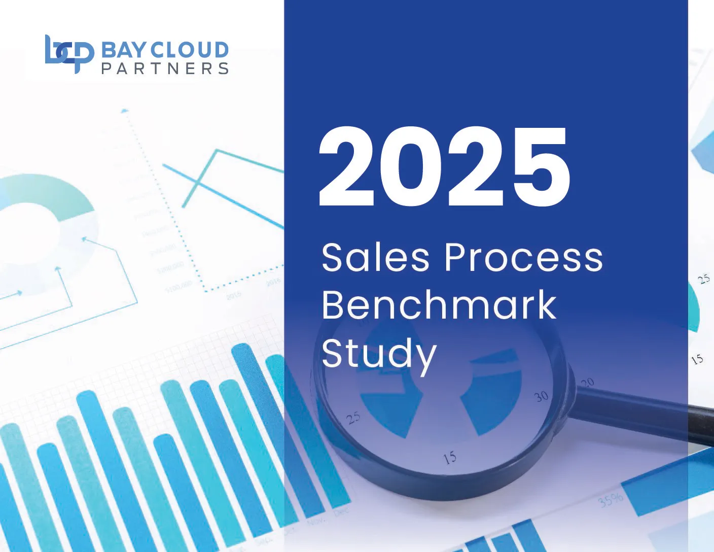 eBook cover of the 2025 B2B Sales Survey